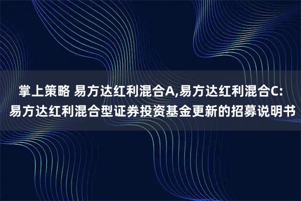 掌上策略 易方达红利混合A,易方达红利混合C: 易方达红利混合型证券投资基金更新的招募说明书