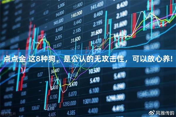 点点金 这8种狗,是公认的无攻击性,可以放心养!